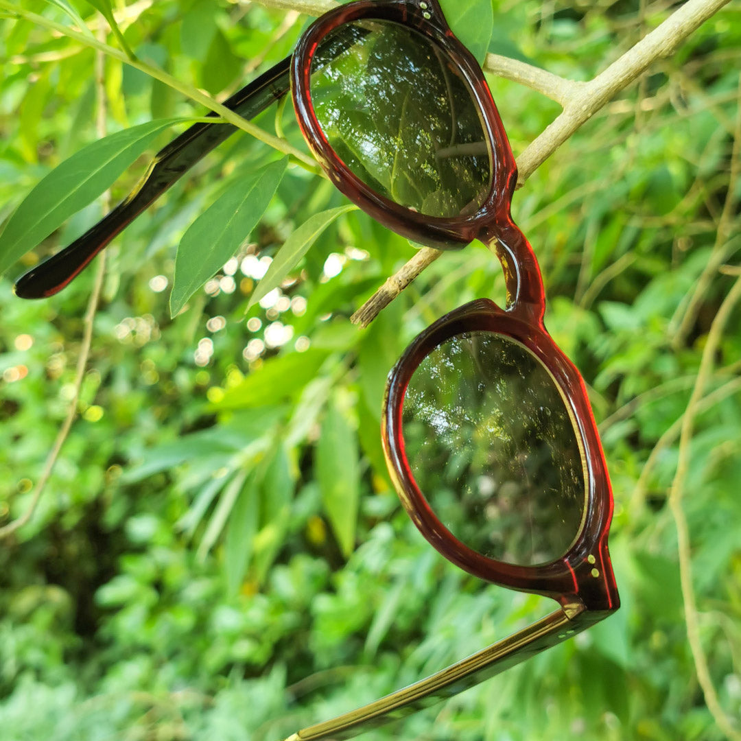 Umweltfreundliche Sonnenbrille aus Zelluloseacetat von Passione