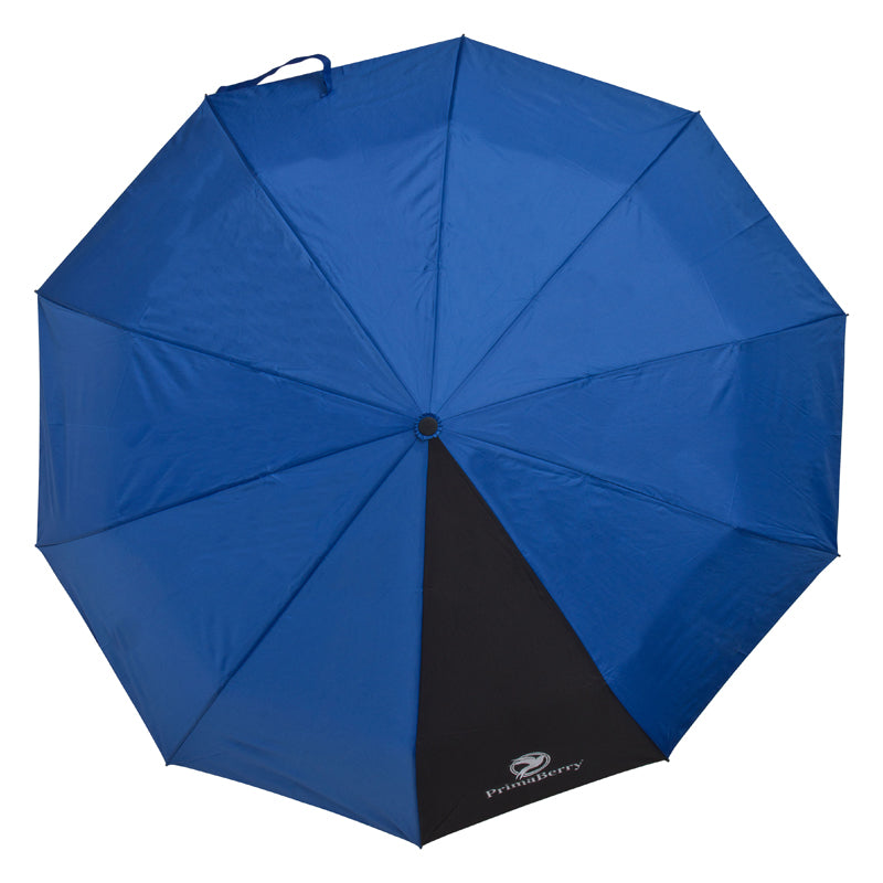 blueberry blue umbrella