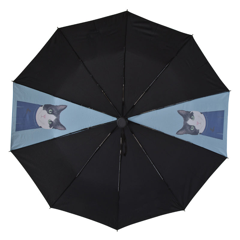cat umbrella
